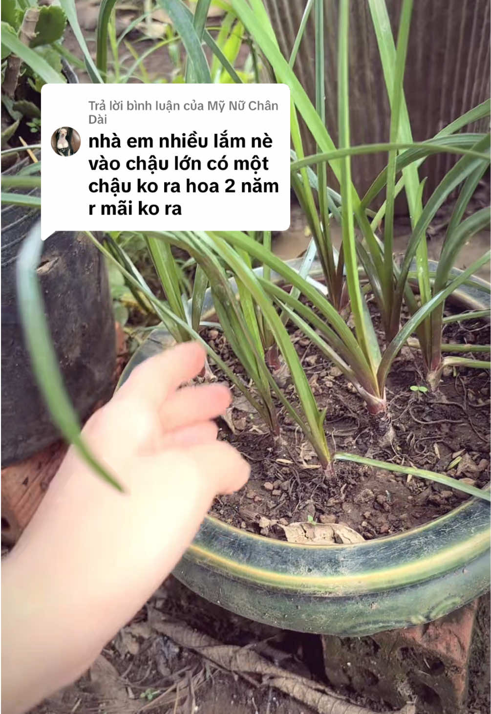 @ThaoJi
