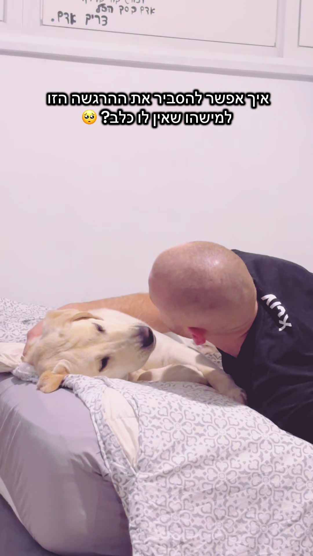 @Buri_The_Labrador