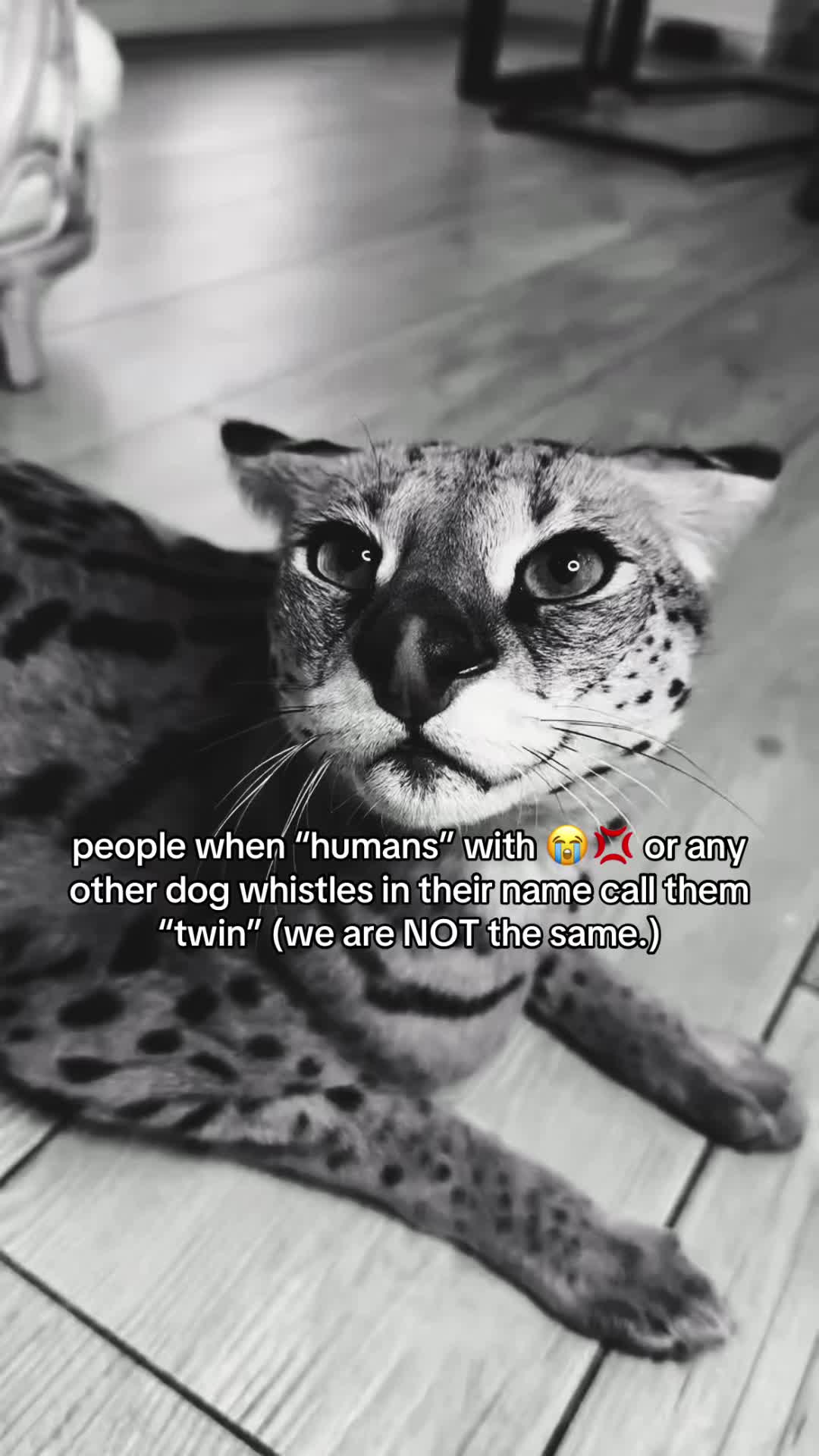 @𝘴𝘤𝘰𝘰𝘣𝘺 𝘤𝘰𝘭𝘦 .ᐟ 💮