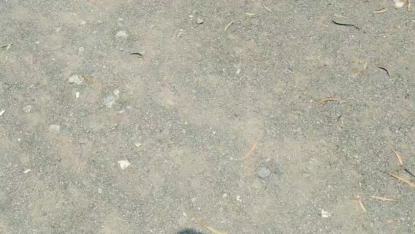 @Asif Kala