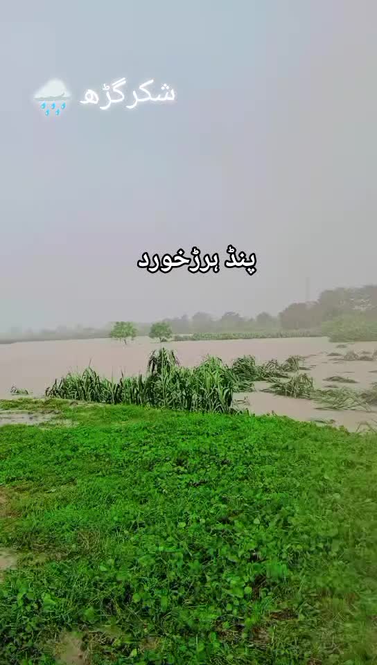 @اویس چوہان ہرڑ خورد 🤟😈