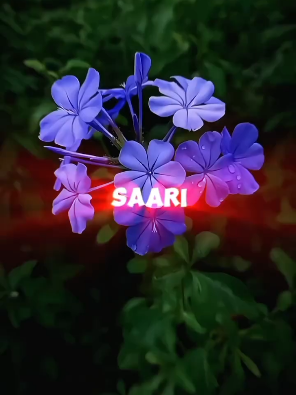 @𝕸𝖗-𝖈𝖍𝖊𝖊𝖒𝖆