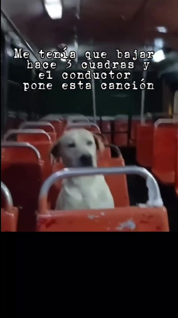 @el gorrasjr