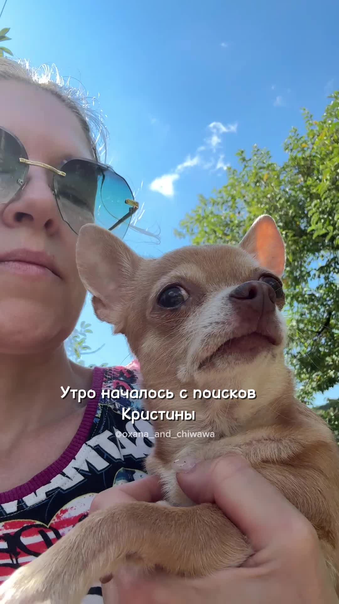 @Оксана & Чихуахуа Бонита