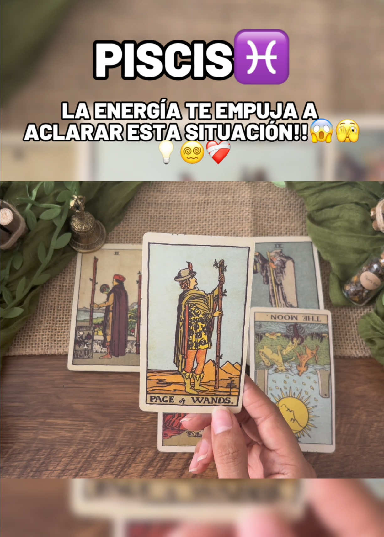 @Andy Sun Tarot ☀️