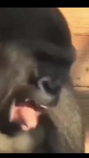 @𝔖𝔨𝔬𝔬𝔩𝔩𝔬𝔠𝔬𝔛𝔩𝔩𝔩