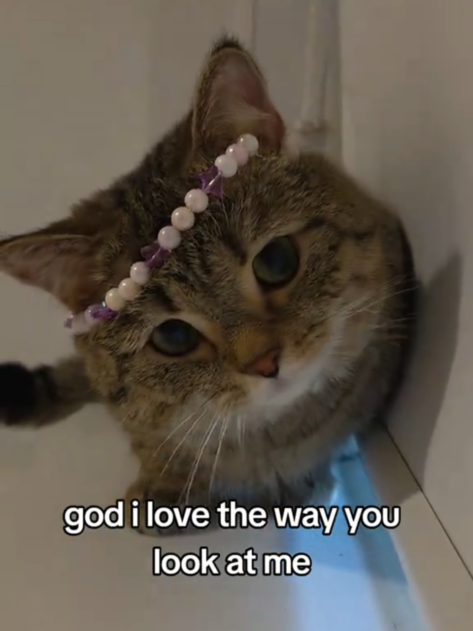 @Luka