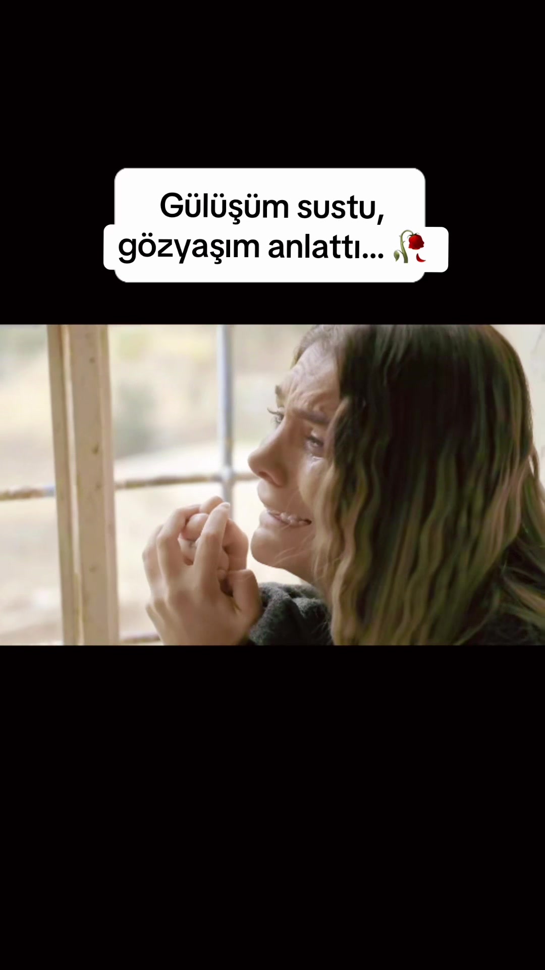 @Havinnet