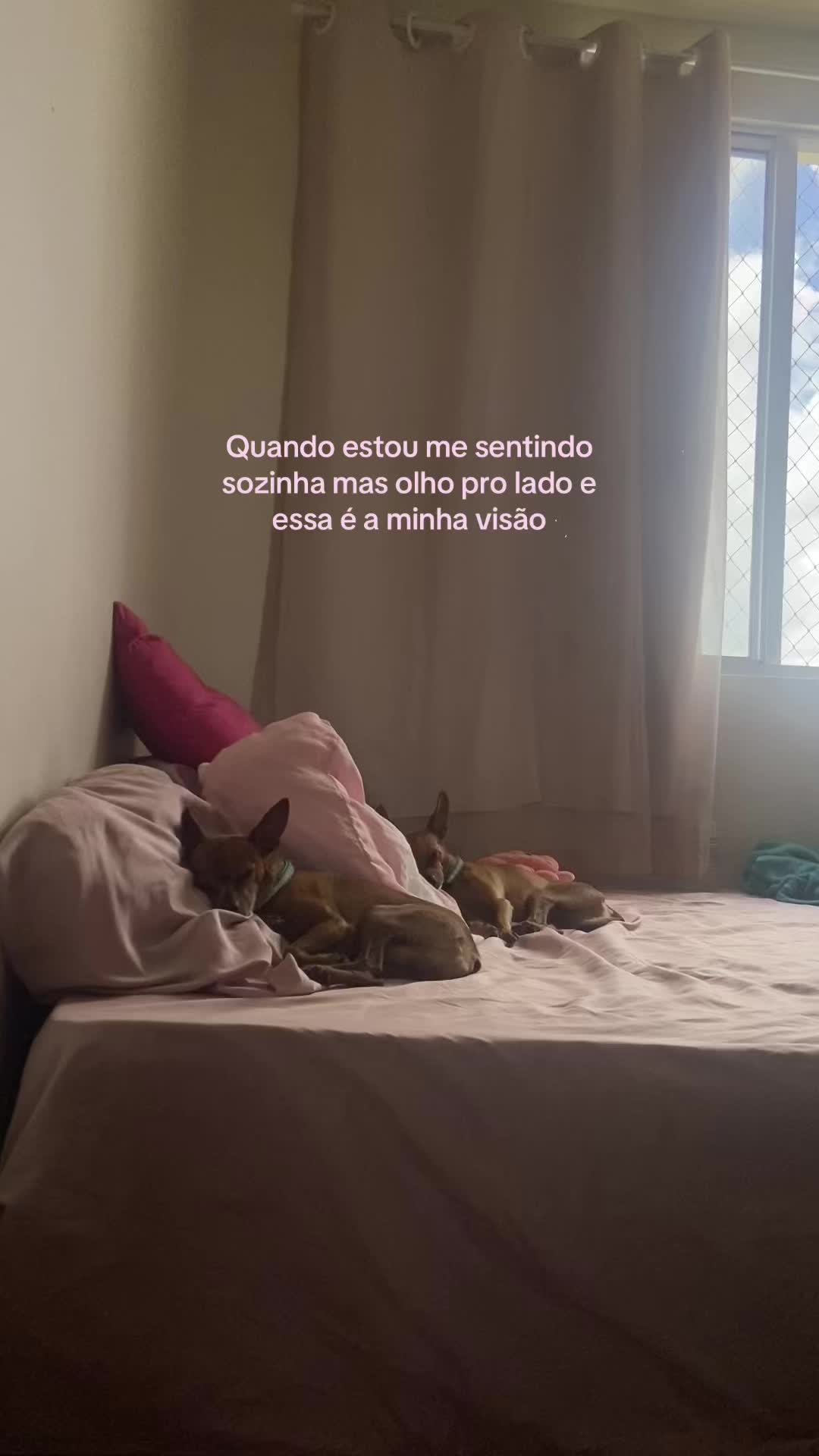 @Mábia