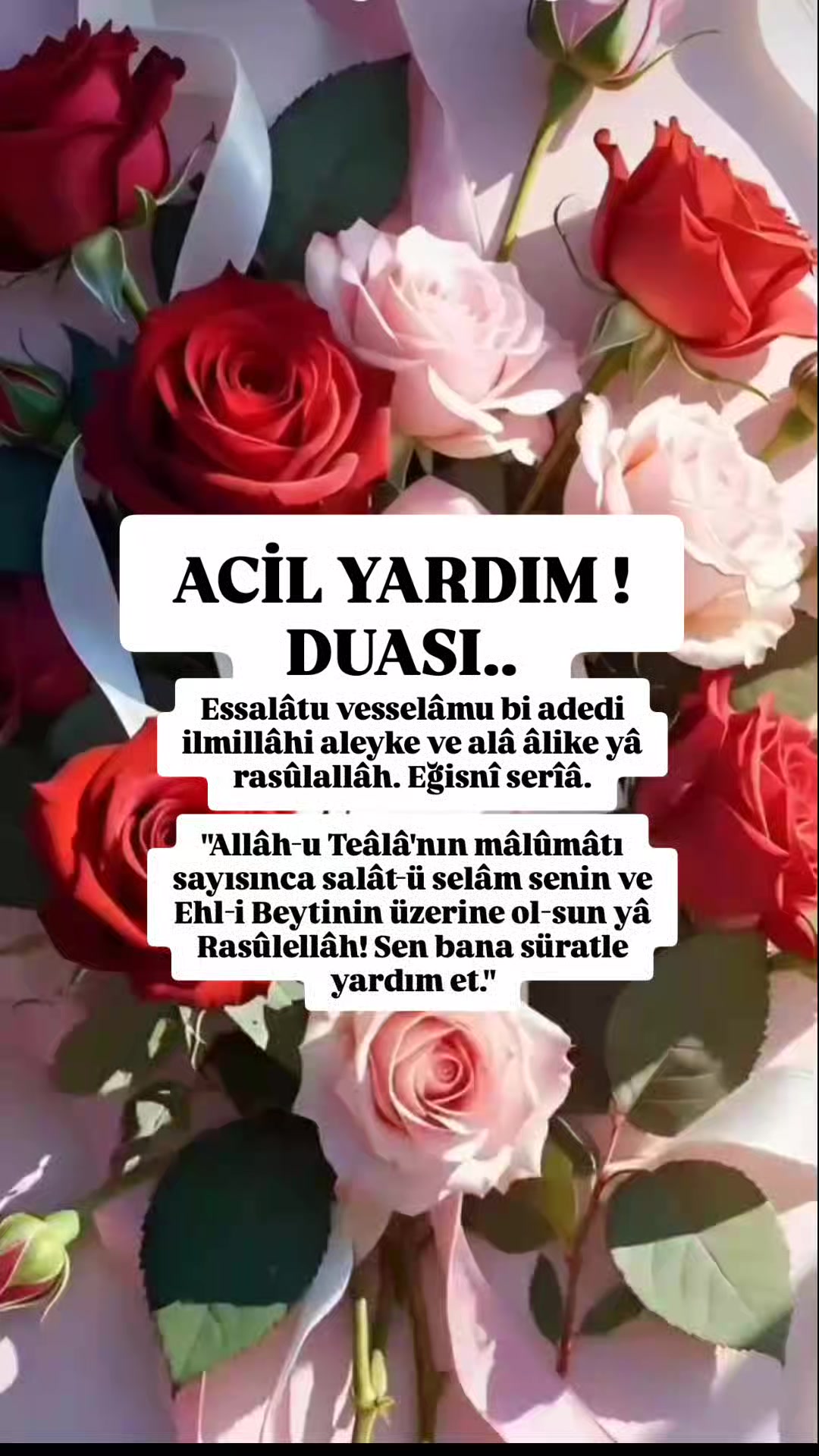@hayat nereye gidiyor