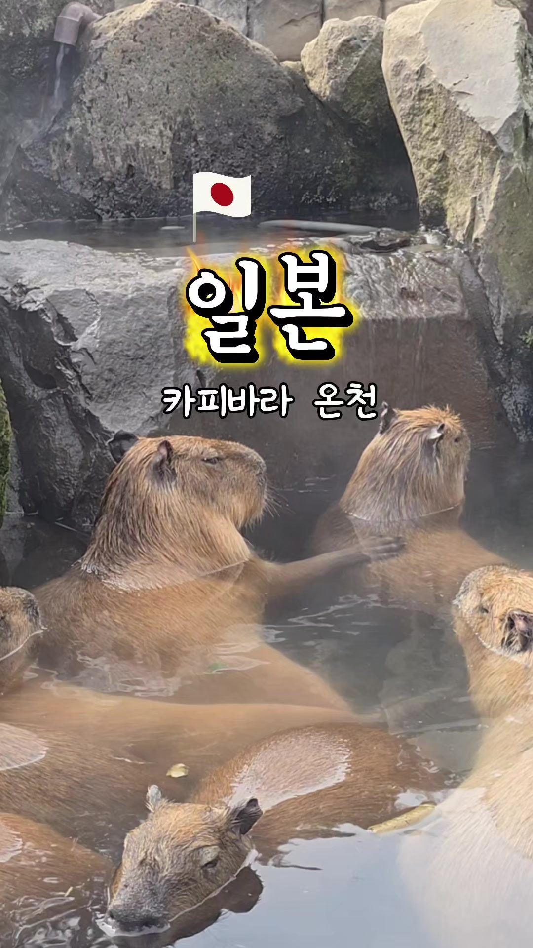 @공감대...빵!