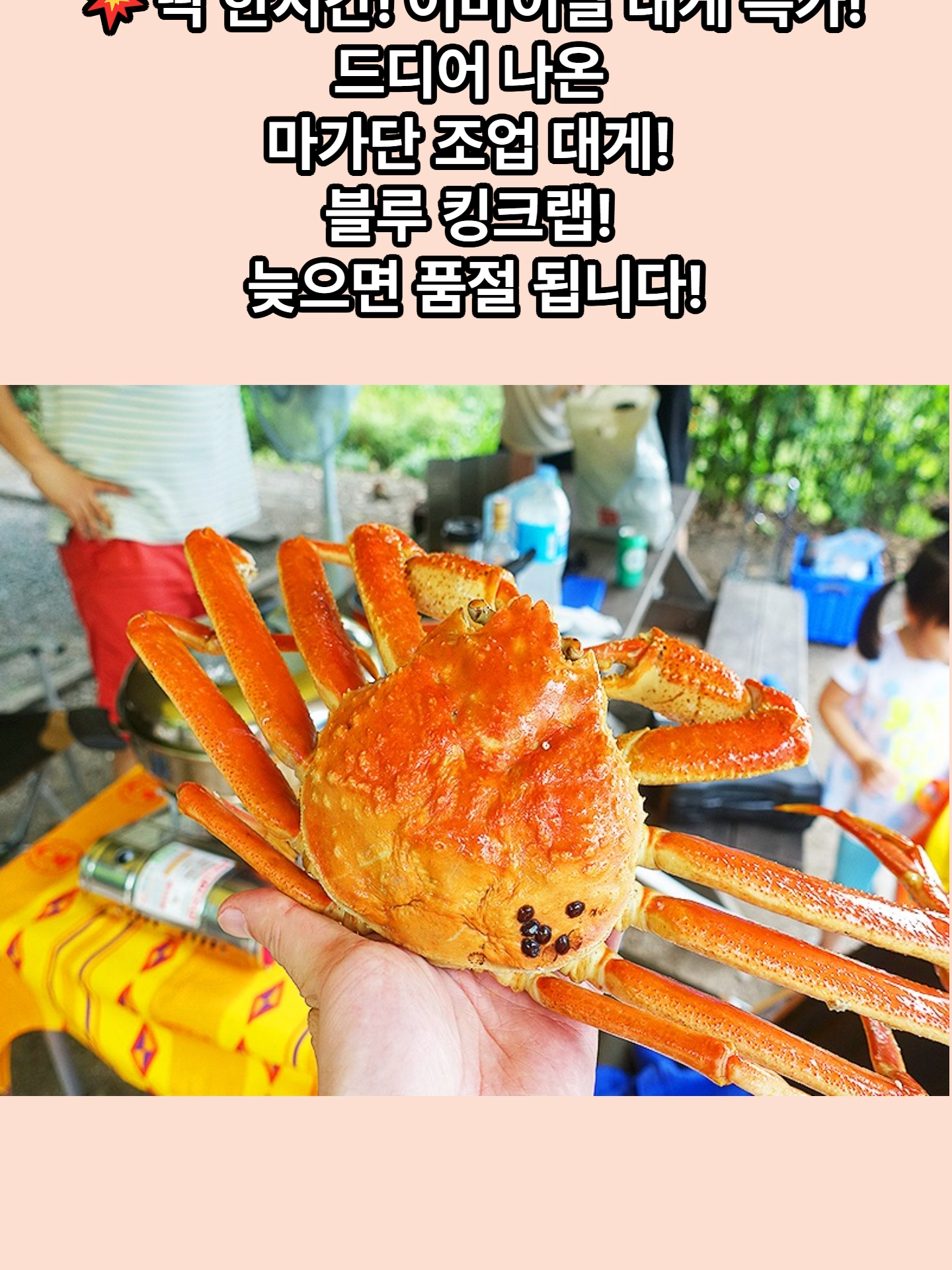@킹크랩 대게 동해수산유통
