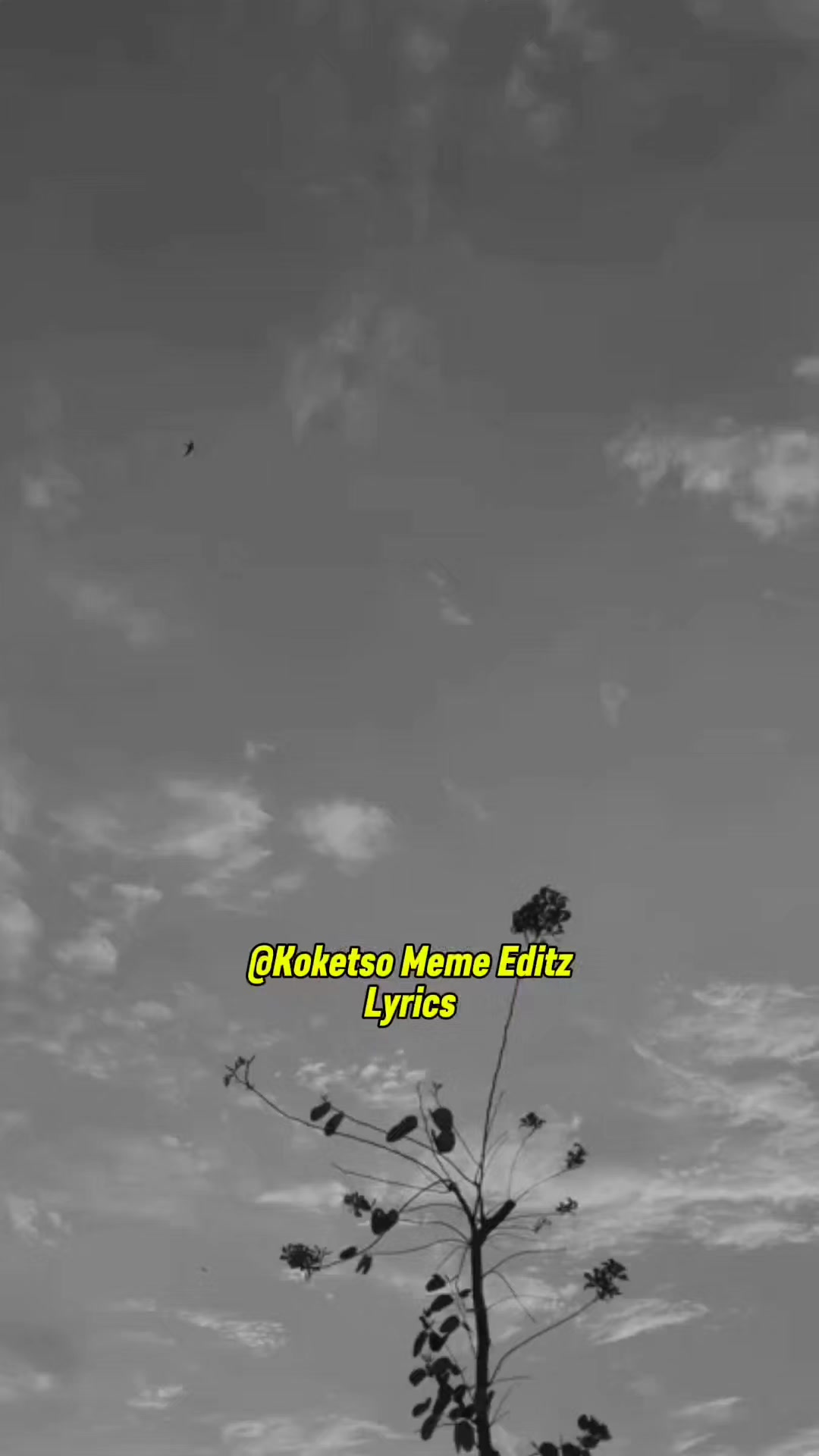 @Koketso_meme_Editz