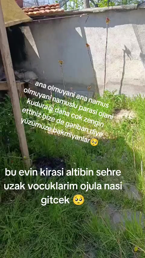 @derya1