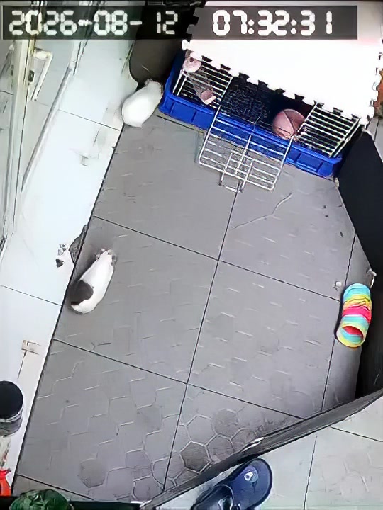 @Em Gà Thúi