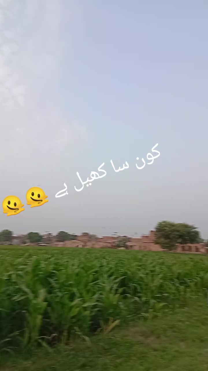 @M Arshad