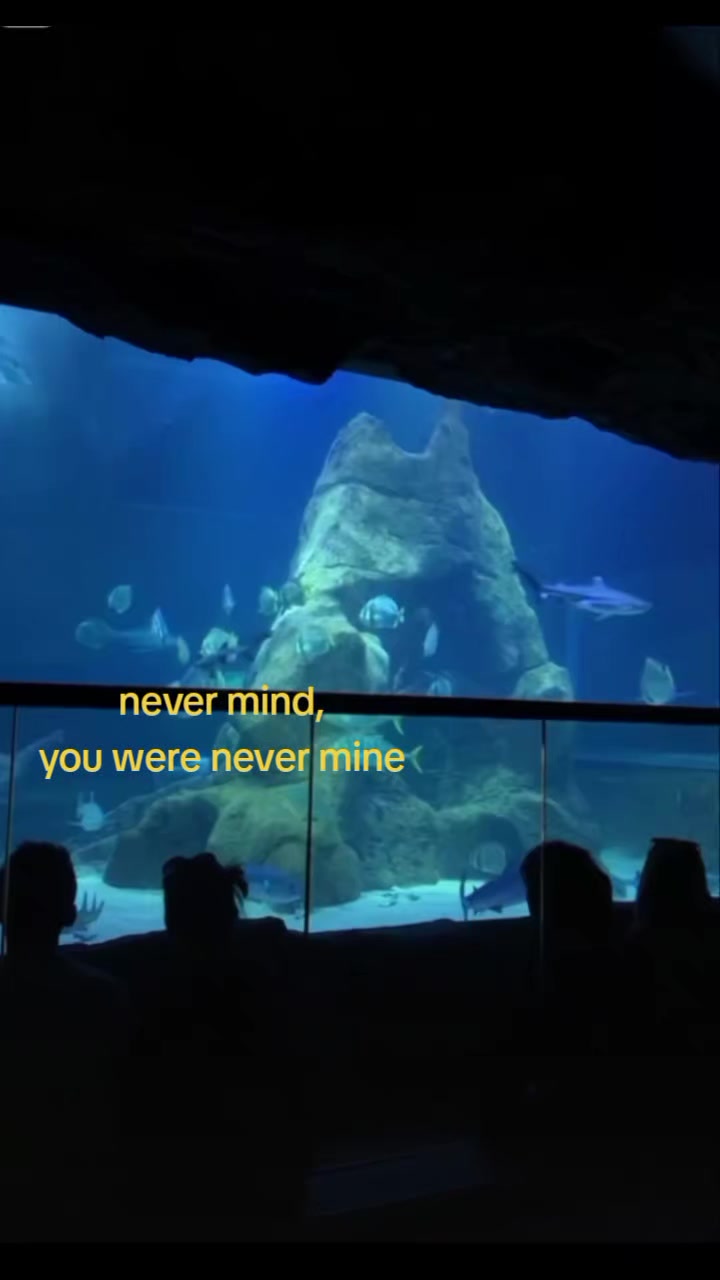 @Carine