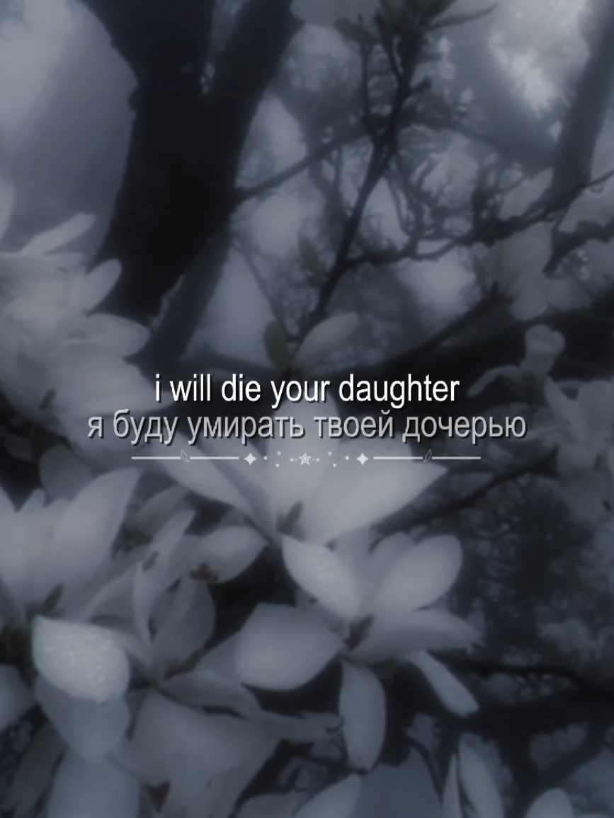 @'.𝙚́𝙪𝙥𝙝𝙤𝙧𝙞𝙖`🪷 ˎˊ˗