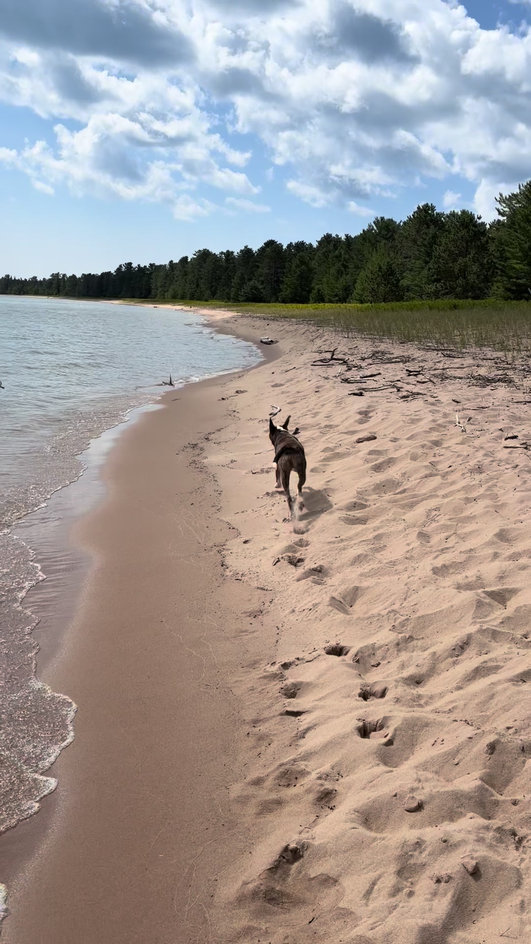 @Hikingwithstanley