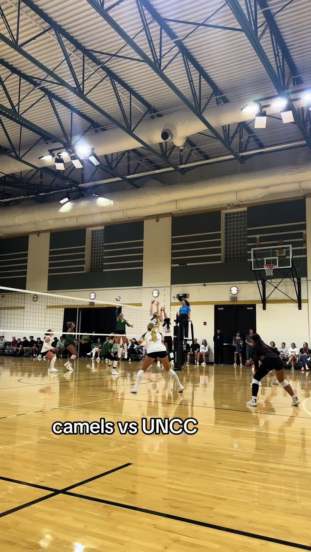 @Coach Nolan 🏐