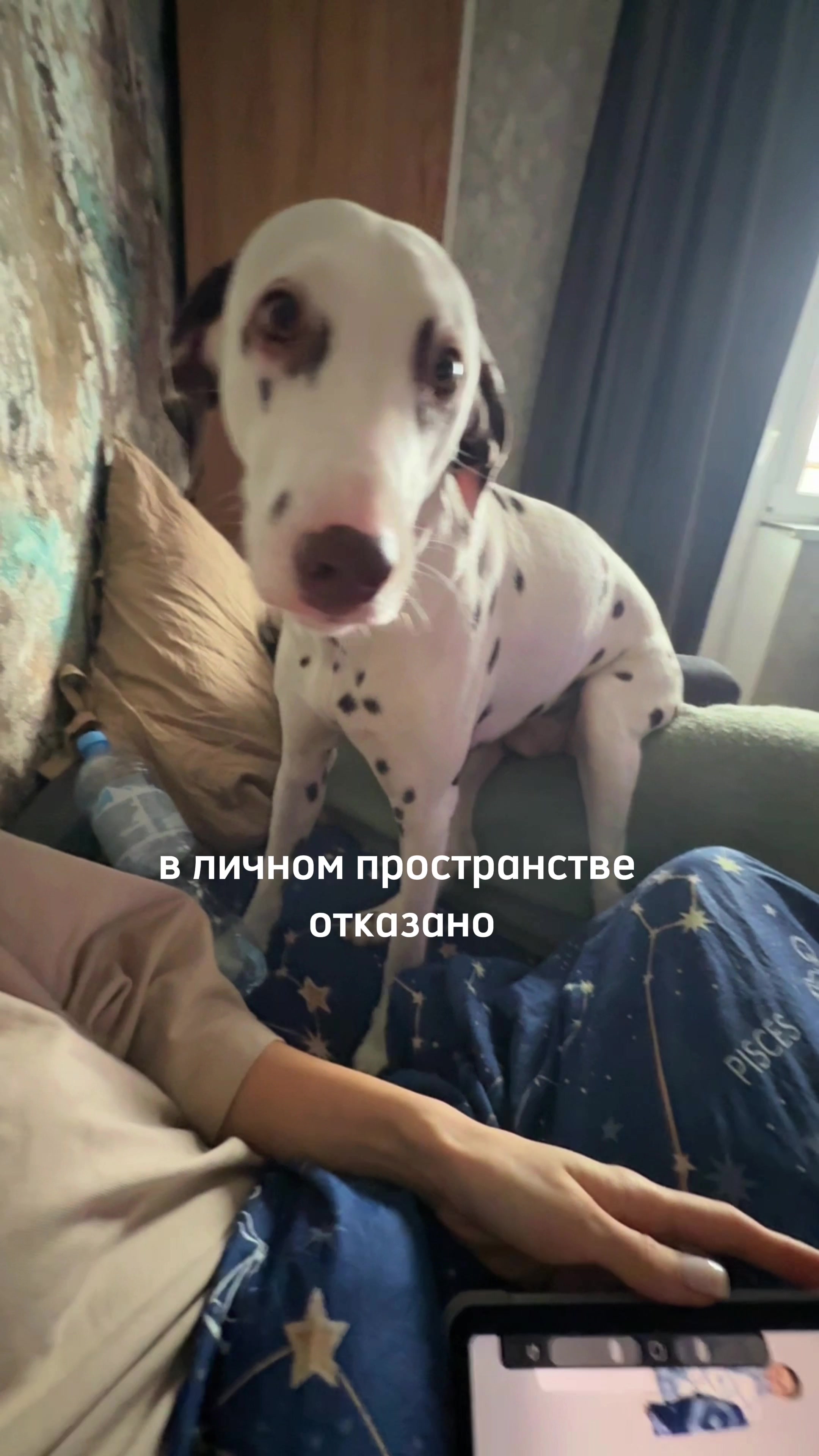 @тгк: плюшевый мир