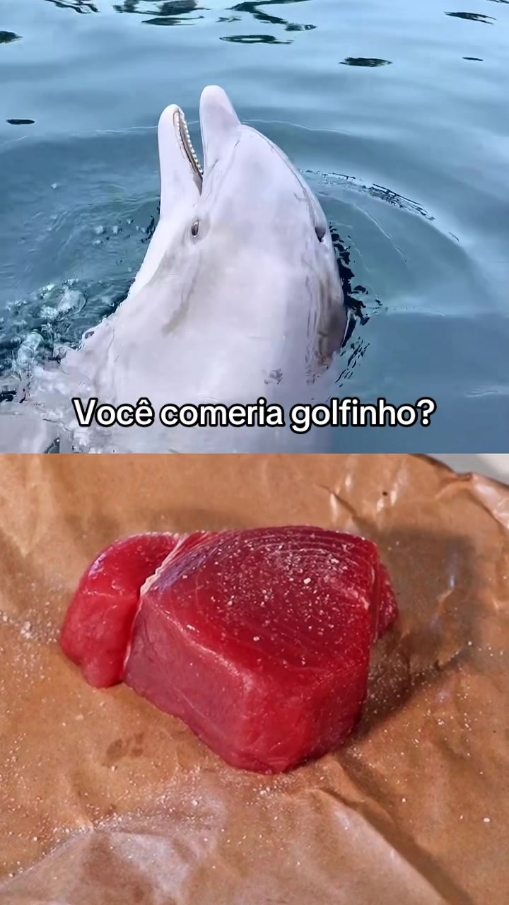 @Carne é cruel