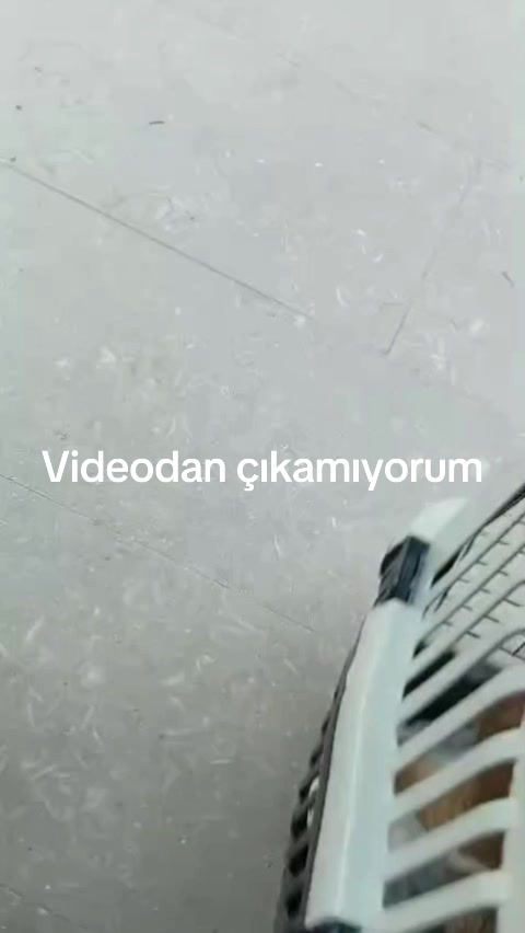 @Eko
