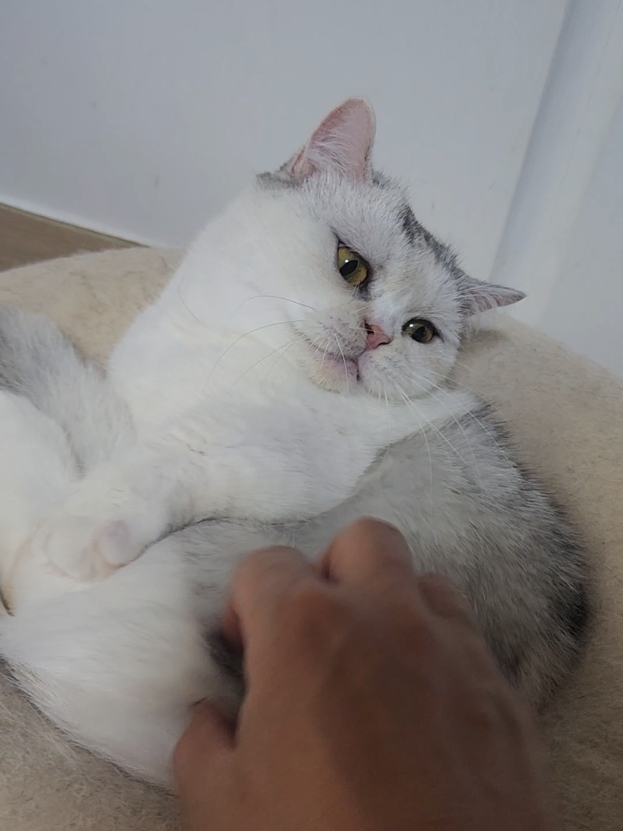 @박씨 거실