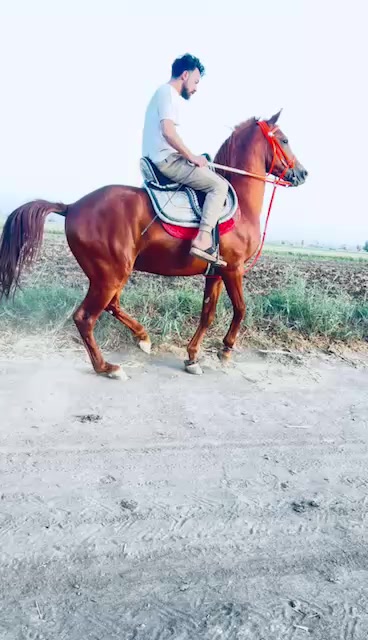 @ابو منازع🖤😎