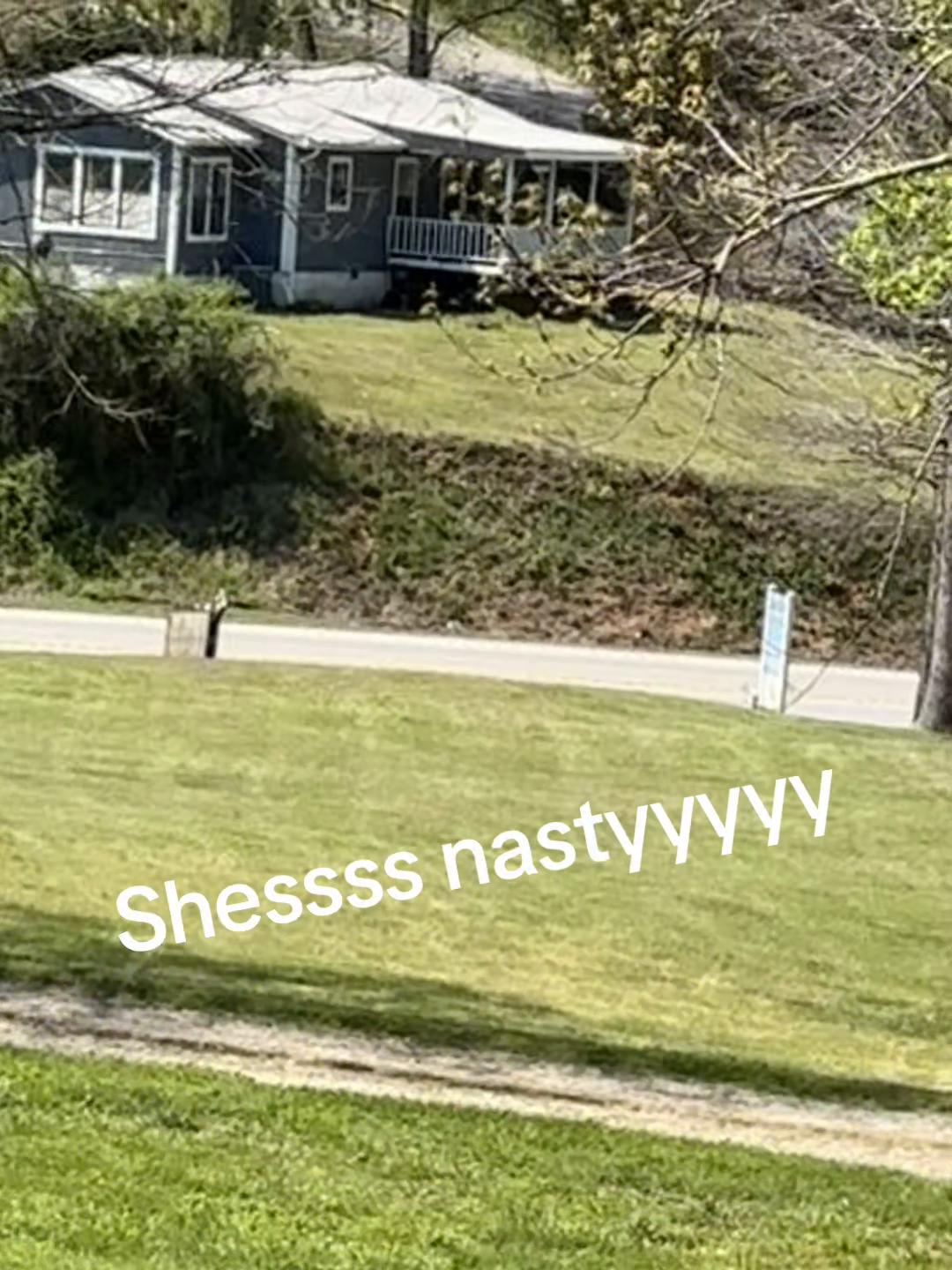 @GHOSTFACE | Hazel Creek Farm🩷