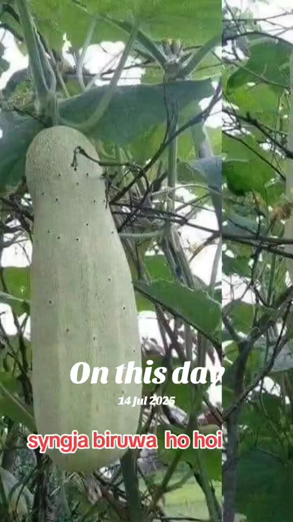 @LUCKKANXA