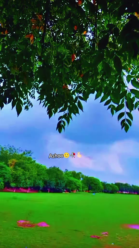 @🕊️🌸ـﮩﮩᎪຮ𝖍υ