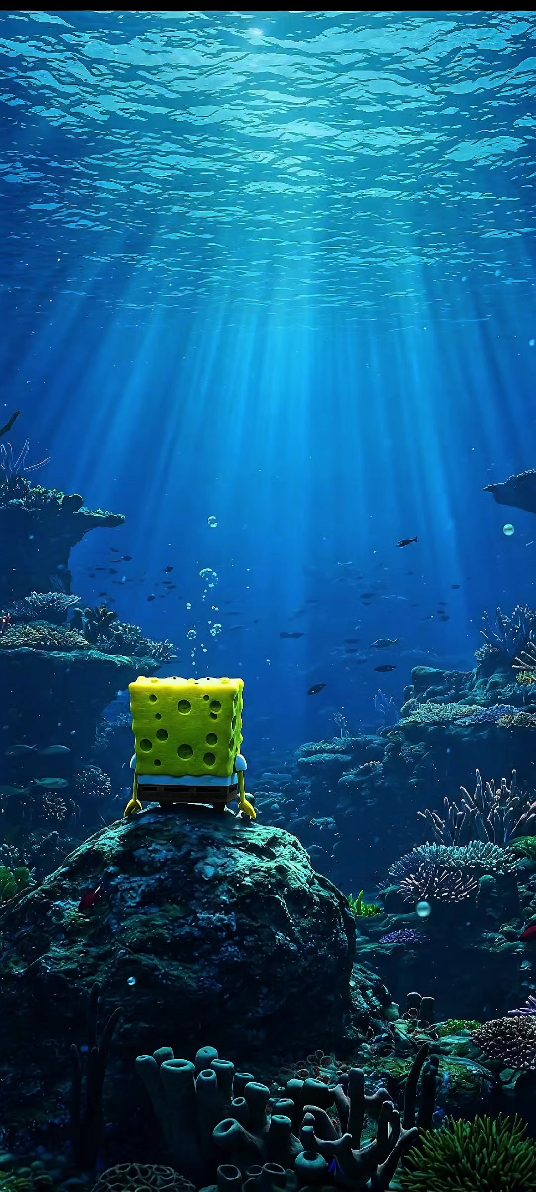@Live wallpaper