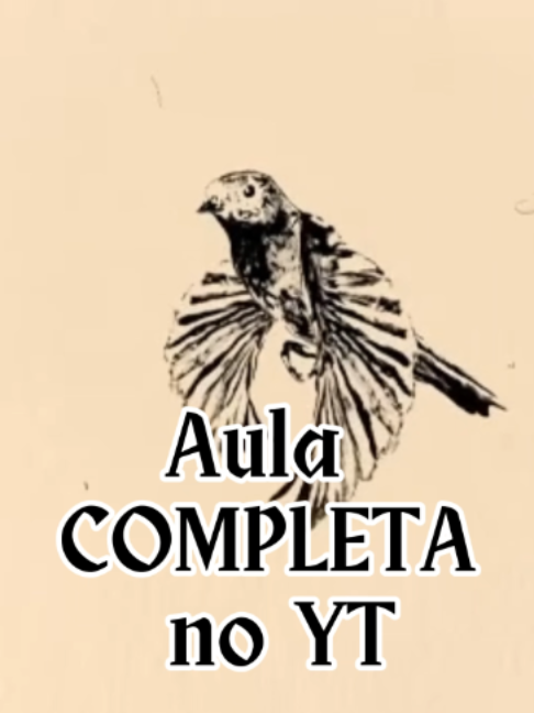 @Japa Pellegrini