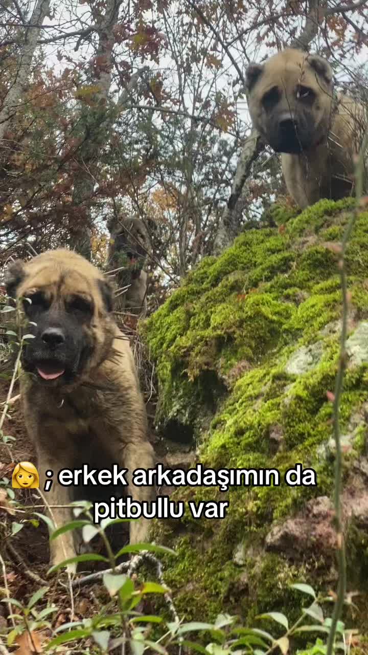 @can Keskin