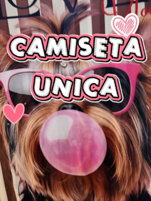 @dygmodayestilo