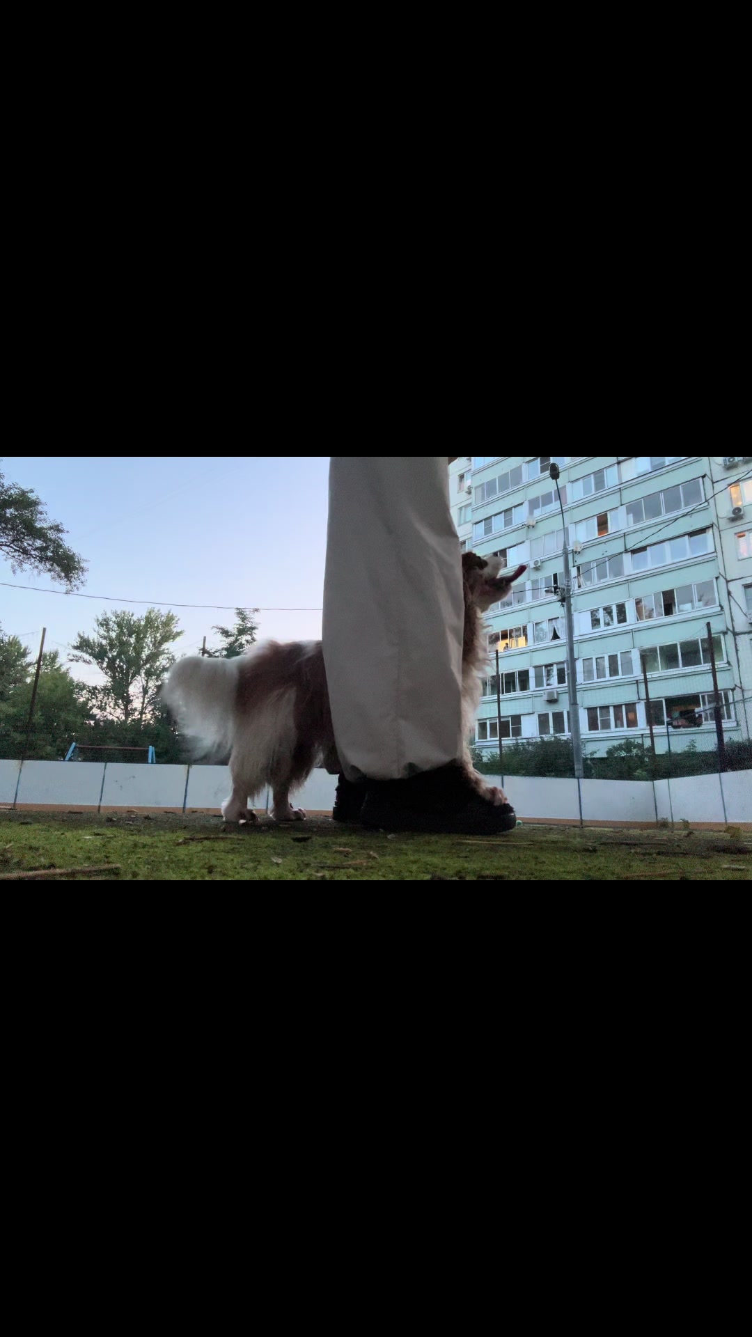 @Фаби🐶