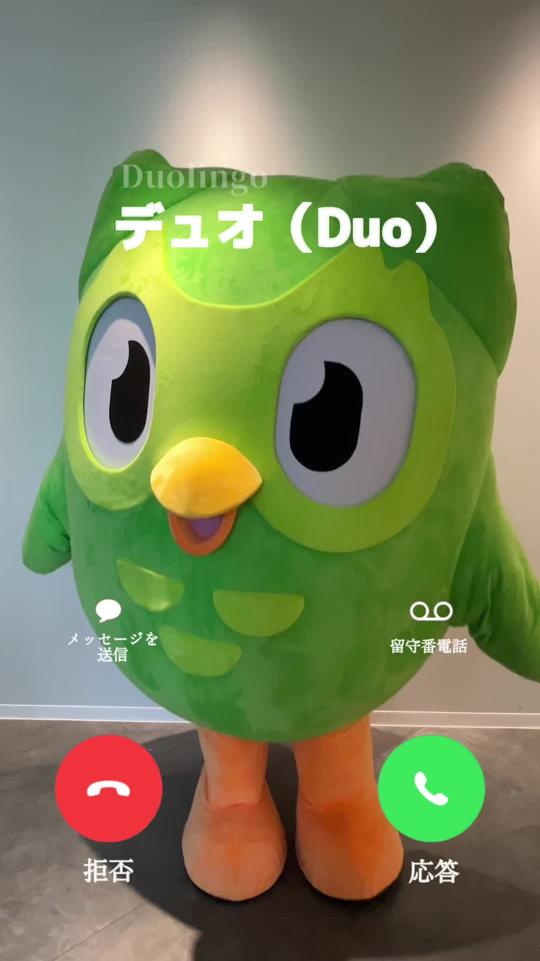 @Duolingo Japanð¯ðµ