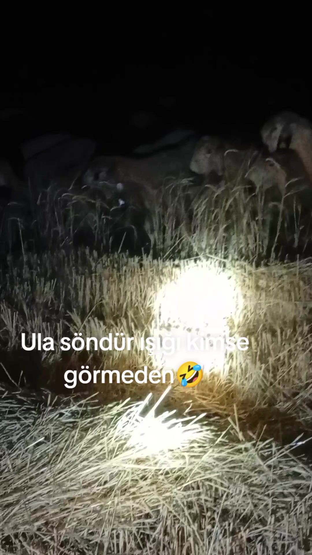 @HAYAL KEŞ