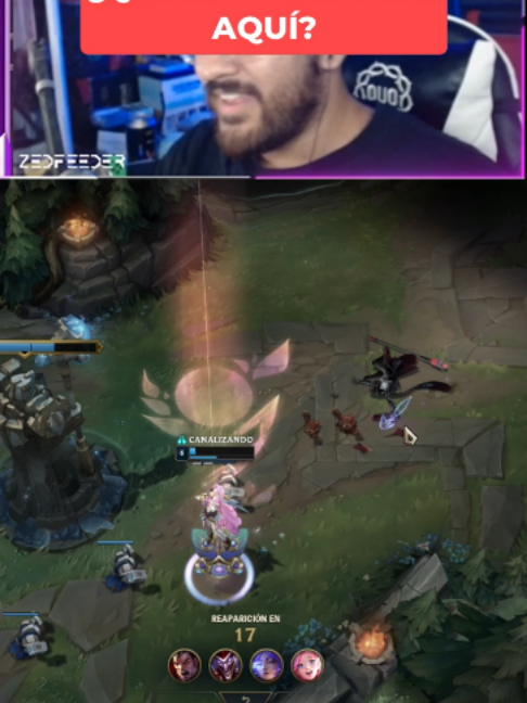 @ZedFeeder