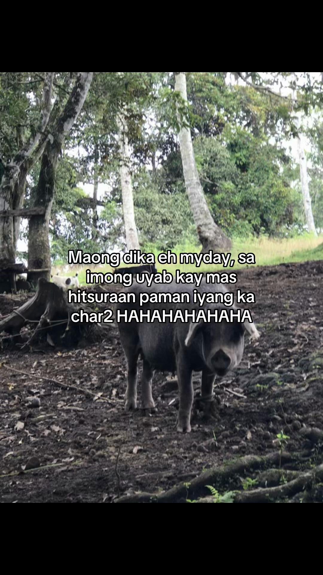 @matchalatte