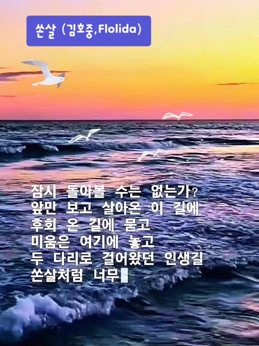 @chorongca