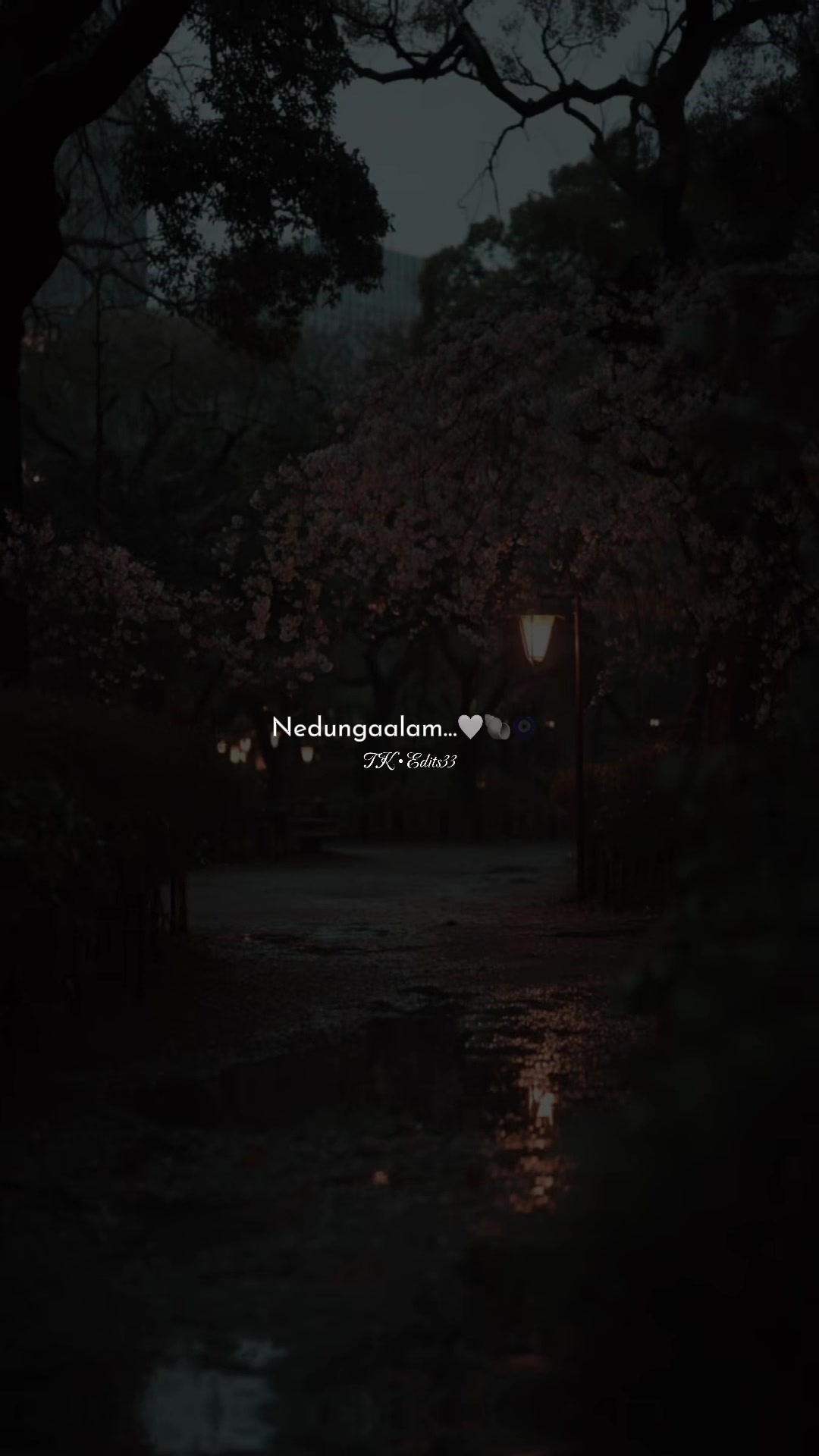 @ᥫ᭡ 𝐂𝐊•𝐄𝐝𝐢𝐭𝐬𝟎𝟑 🌸🦢!!