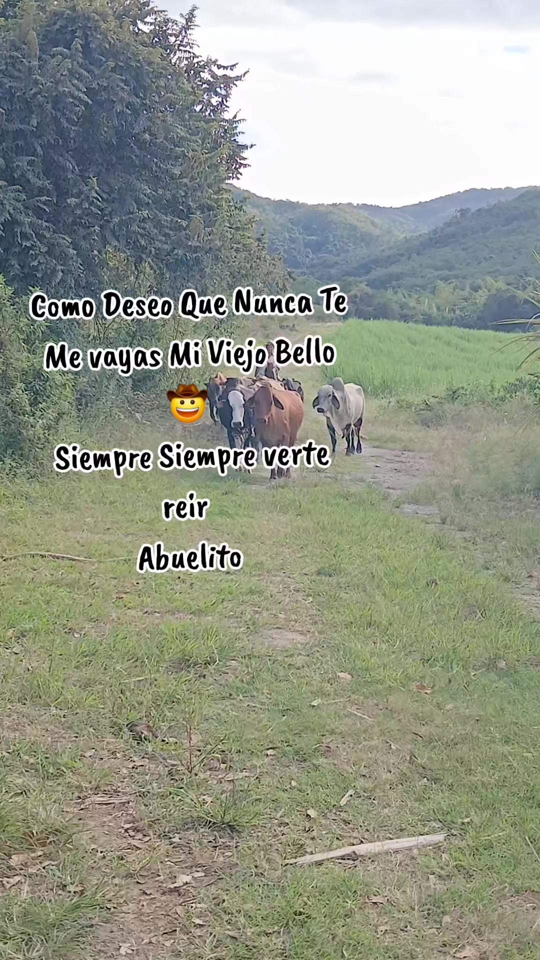 @Mónica Henao