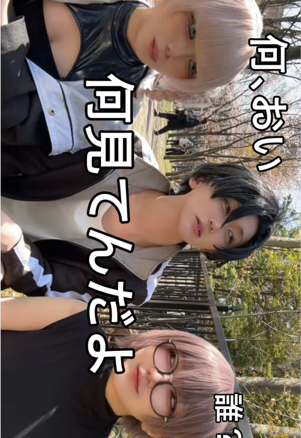 @ぽんぽち