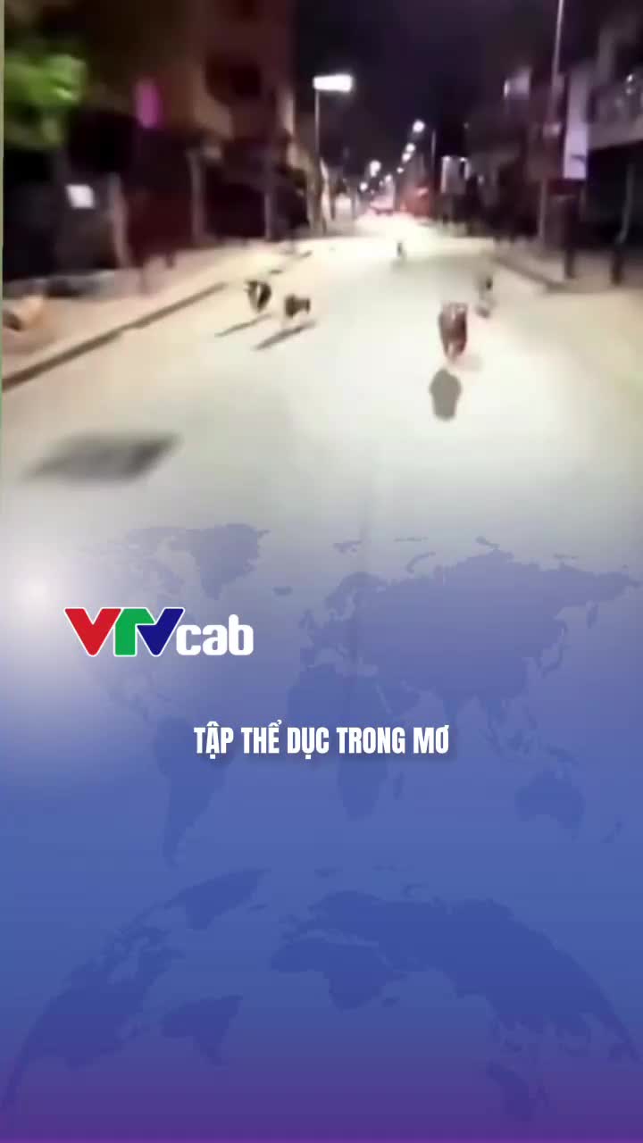 @VTVcab Trending - Giải trí