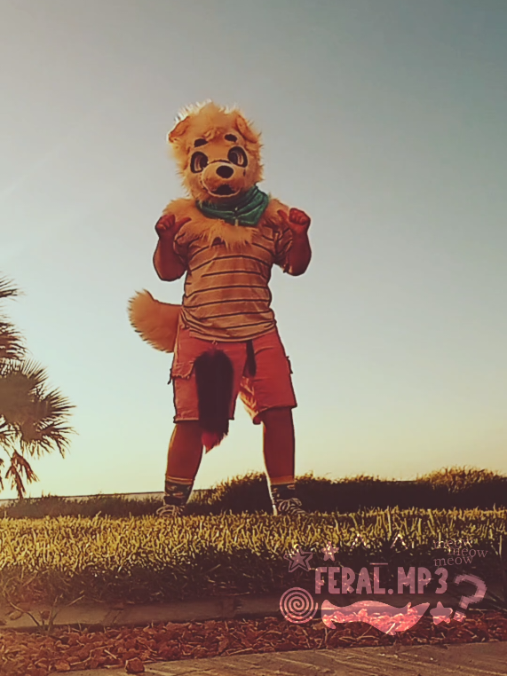 @feral.mp3
