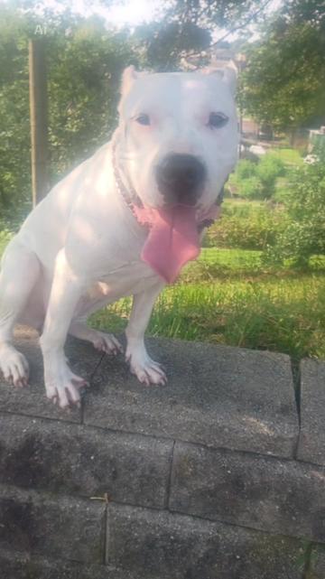 @🐾E-one 🌻Get🐕It♉ Done🪴