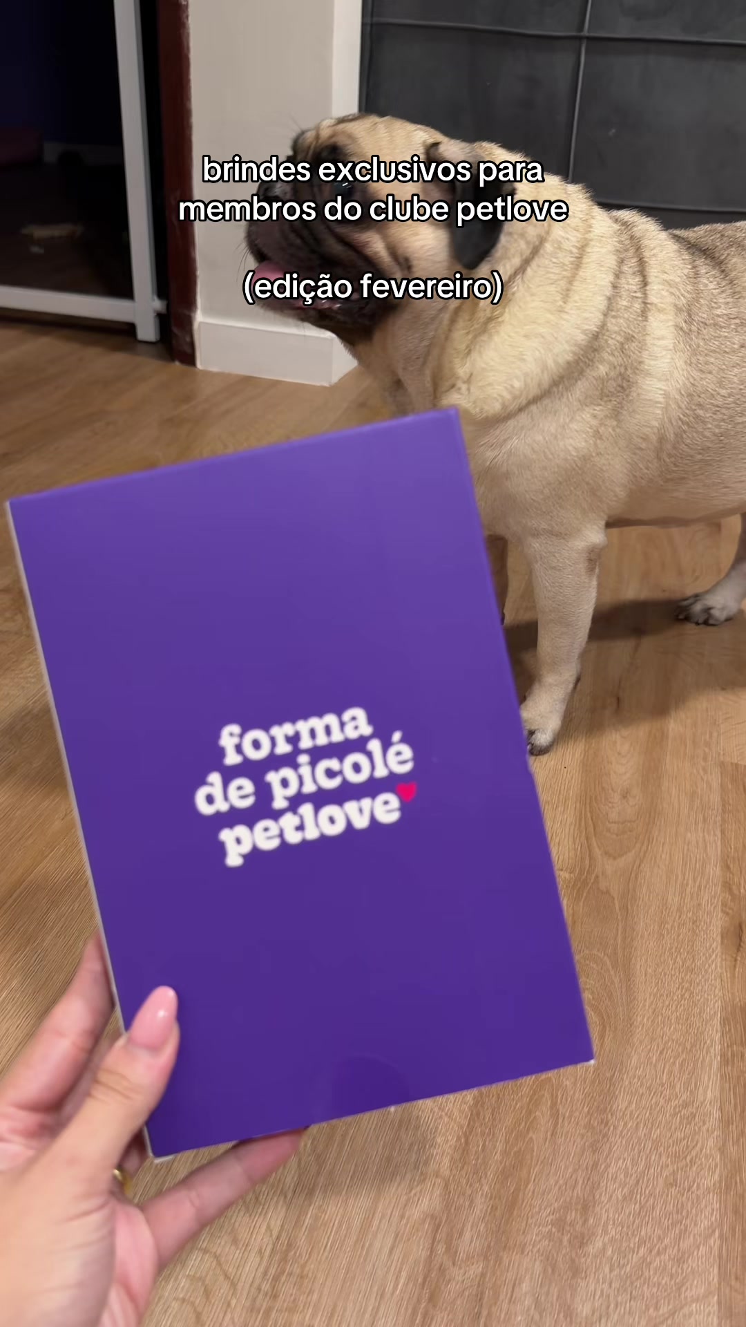@FRANKINHO