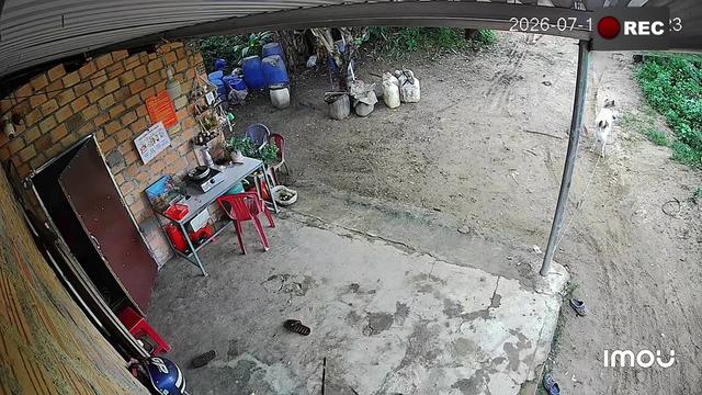 @Nị Đẹp Chó 🐶